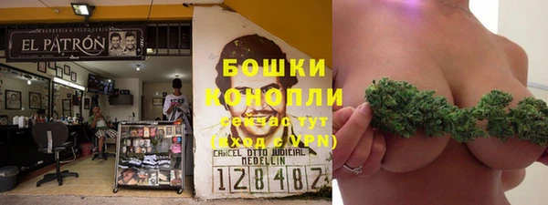 спиды Майский