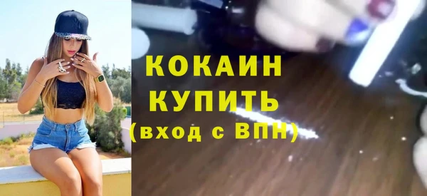 индика Новокубанск