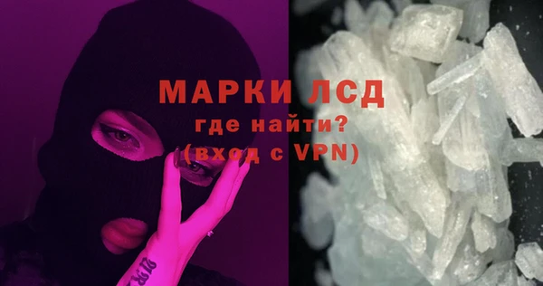 индика Новокубанск