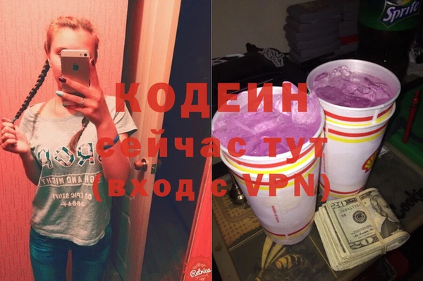 индика Новокубанск