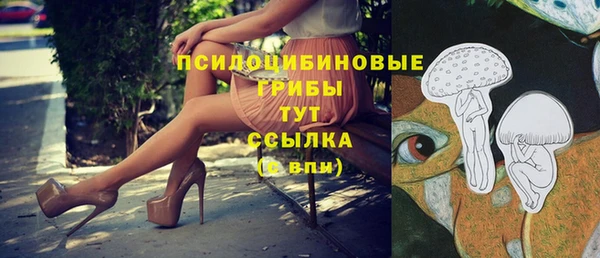 гашиш Новодвинск