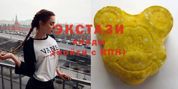 индика Новокубанск