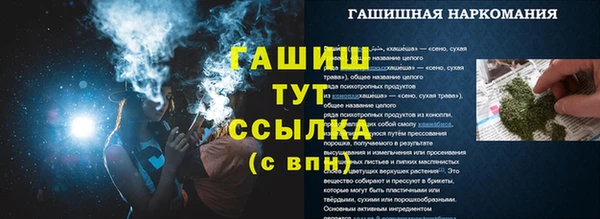 индика Новокубанск