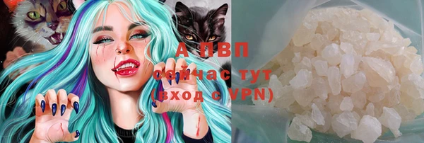 индика Новокубанск