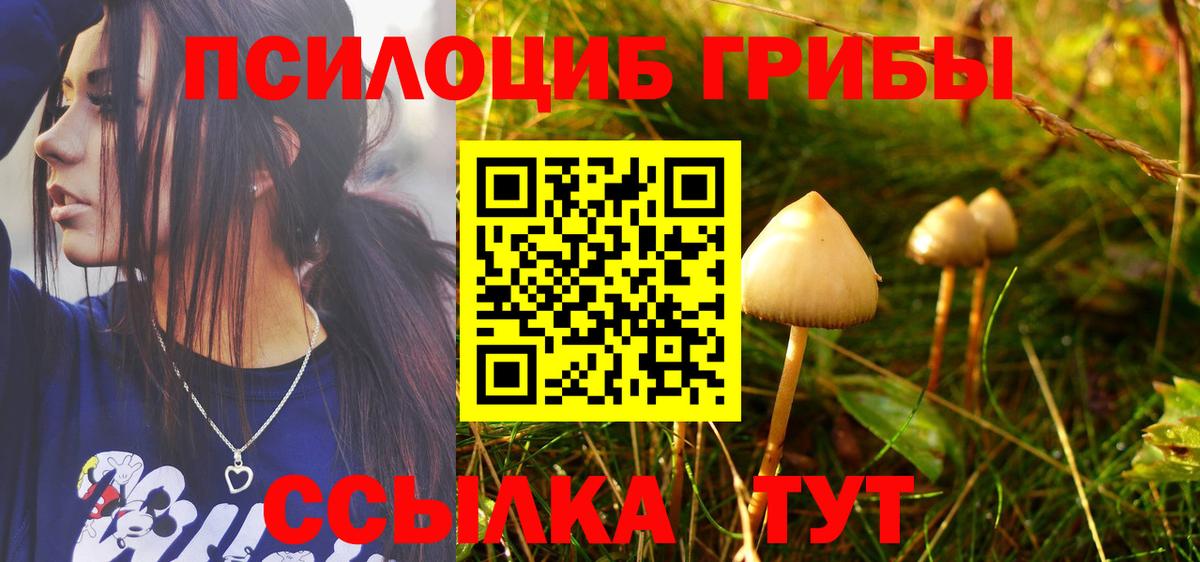 Мыски  Псилоцибиновые грибы Psilocybe  Вход с VPN  наркотики  Псилоцибиновые грибы Magic Shrooms 