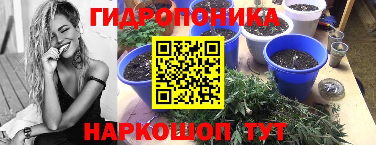 МАРИХУАНА планчик  Вход с VPN  Бошки Шишки планчик  Марихуана ГИДРОПОН  Мыски  Конопля VHQ 
